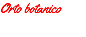 Orto botanico 